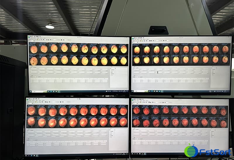 apple color sorting grading line.jpg apple color sorting grading line.jpg